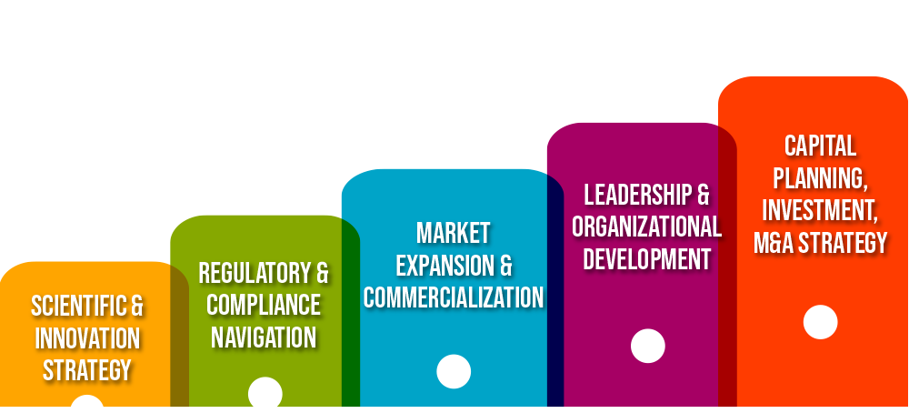 5 Key Areas of Strategic Support